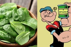 Здоровый продукт с "изюминкой" — почему австралийцы начали охоту за шпинатом