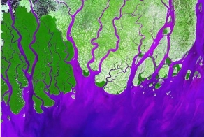 Реки. Вид из космоса (19 фото)