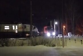 Машинист поезда сумел остановить состав в самый последний момент