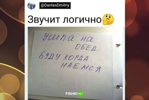 Между честностью и эгоизмом есть тонкая черта: мемная подборка