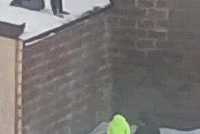 Беззаботное детство