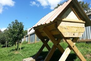 Супруги построили улей и переселили пчел, которых нашли в своем доме