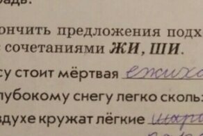 Домашние работы наших детей, которые доказывают, какое смышлёное поколение растёт