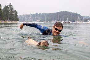 Собачники пригрозили застрелить кота, принявшего участие в собачьем заплыве в Австралии