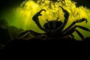 Победители конкурса "Фотограф природы-2022"