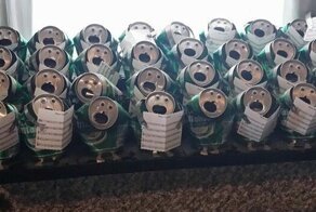 30 доказательств того, что Рождество нужно отмечать с размахом и с юмором