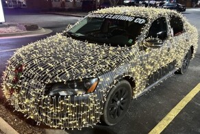 Автовсячина