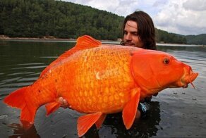 20 фото с просторов сети, которые с первого взгляда кажутся нереальными