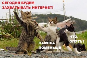 Весёлые картинки