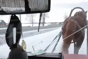 Житель Молдавии, недовольный ростом цен на топливо, создал свой экологически чистый транспорт