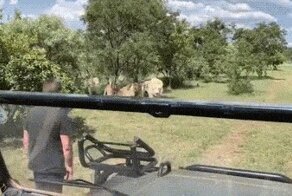 Просто гифки, всякие и разные