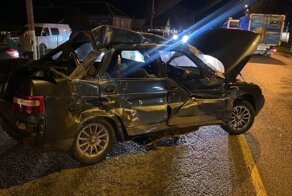 Авария дня. На Кубани бездомная дворняжка спровоцировала ДТП