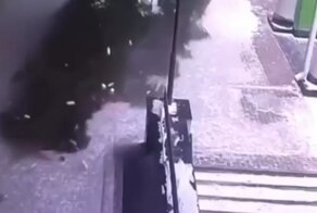 В Мурманске ёлка открыла сезон охоты на людей