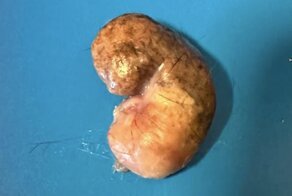 16 диких и жутких фото, после которых страшно ложиться спать