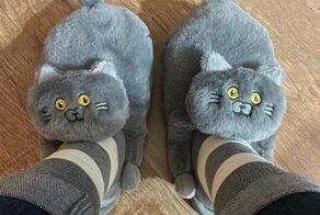 Интересные и порой бесполезные товары с AliExpress, которые всё равно хочется заказать