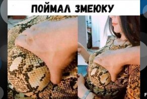 Комментарии и картинки из соцсетей. Свежак за 13 января