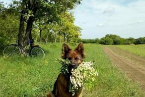 Пакетик позитива. Часть 2