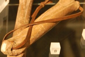 Как появились коньки, и где впервые провели международные соревнования по фигурному катанию?