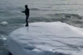Достойный кандидат на премию Дарвина