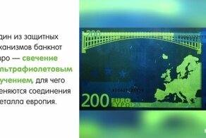 В копилку эрудита: интересные факты о деньгах