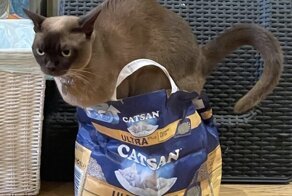 20 животных с чудинкой, которые что только не выкаблучивают