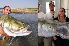 Рыбов продаете? Какие самые большие ихтиандры живут в пресноводных водоемах