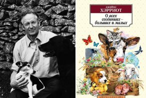Если напала грусть: подборка книг, изобилующих юмором и иронией 