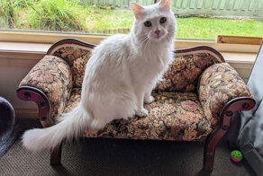 30 крутых вещиц, найденных в комиссионках, на барахолках и распродажах