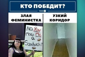 Мемы о радикальном феминизме и их представительницах