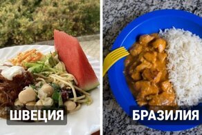 На голодный желудок не смотреть: дети из разных стран показали, чем их кормят в школах