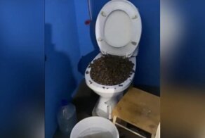 Чудак из Химок вывалил два мешка керамзита в унитаз и устроил коммунальный коллапс