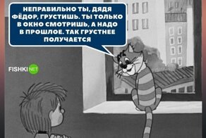 Сначала люди говорят, что у них нет депрессии, а потом делают такие посты