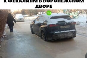 Подборка автоприколов на пятницу