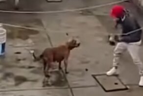 Прирождённый артиллерист