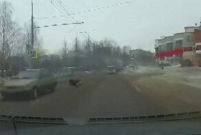 Куда же ты, пацан! Наезд на ребёнка в Йошкар-Оле