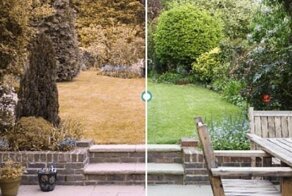 Каким видят мир ваши домашние питомцы