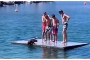 Тщетные попытки калана подружиться