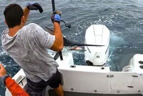 Рыба-копьё выпрыгнула из воды и чуть не пронзила рыбака