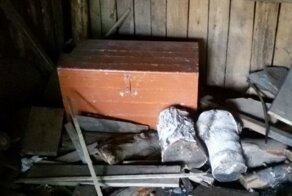 Девочка из сундука, которая 12 лет своей жизни провела в замкнутом пространстве