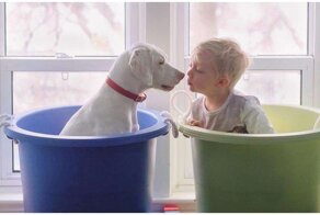 Добрый пост о дружбе собаки и ребёнка