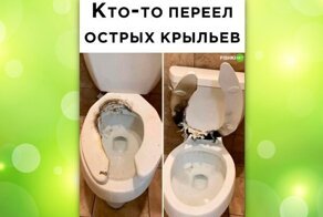 Комментарии и картинки из соцсетей. Свежак за 3 февраля
