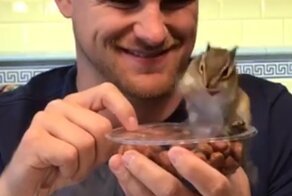 Когда ты очень нервный бурундук