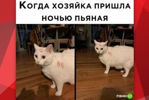 Комментарии и картинки из соцсетей. Свежак за 9 февраля