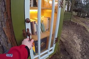 Женщина сделала библиотеку в стволе старого тополя