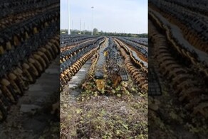 Неудобная правда про электромобили