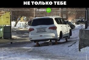 Пятничная подборка юмора для автолюбителей