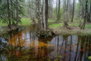 Загадка аномальной зоны России, границы которой так и не смогли установить