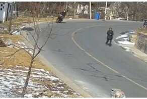 Роковой китайский дед
