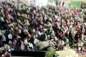 В Индии бык ворвался в толпу, покалечив 14 человек