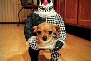 Главное, чтобы костюмчик сидел. Или не главное?